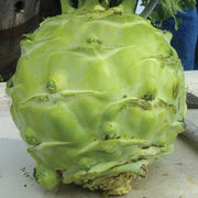 Superschmelz Kohlrabi