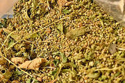 Epazote Herb Seeds - Heirloom Culinary & Medicinal Herbs | Robust Flavor