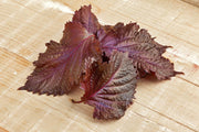 Red Shiso Seeds - Heirloom Perilla Frutescens for Culinary & Medicinal Herbs