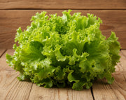 Green Ice Lettuce - Heirloom Leaf Lettuce Seeds | Crisp Green Leaves & Nutritious