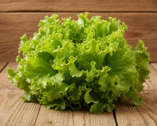 Green Ice Lettuce - Heirloom Leaf Lettuce Seeds | Crisp Green Leaves & Nutritious