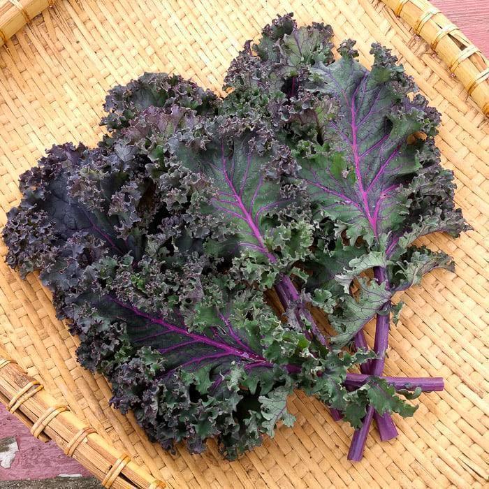 Gram's Heirloom Garden Collection