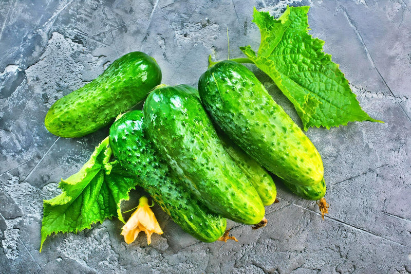 Bushy Cucumber Seeds – Early Pickling Variety for Small Gardens | Compact Plants