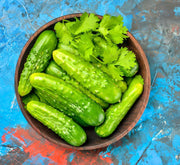 Bushy Cucumber Seeds – Early Pickling Variety for Small Gardens | Compact Plants