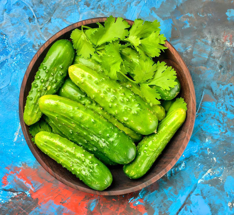 Bushy Cucumber Seeds – Early Pickling Variety for Small Gardens | Compact Plants