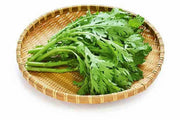Chop Suey Greens - Heirloom Asian Edible Greens | Non GMO Seeds for Winter Growing