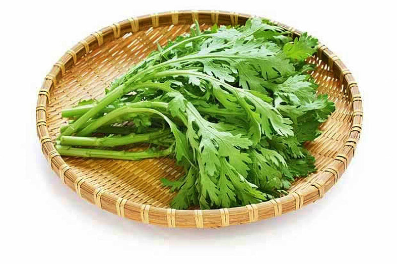 Chop Suey Greens - Heirloom Asian Edible Greens | Non GMO Seeds for Winter Growing