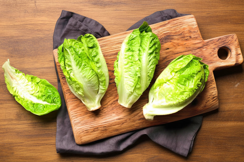 Little Caesar Romaine Lettuce - Organic Heirloom Seeds | Crisp Leafy Greens