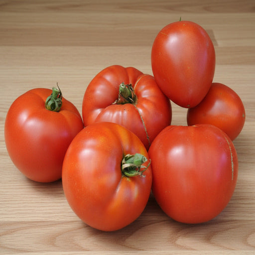 Jory Heirloom Tomato