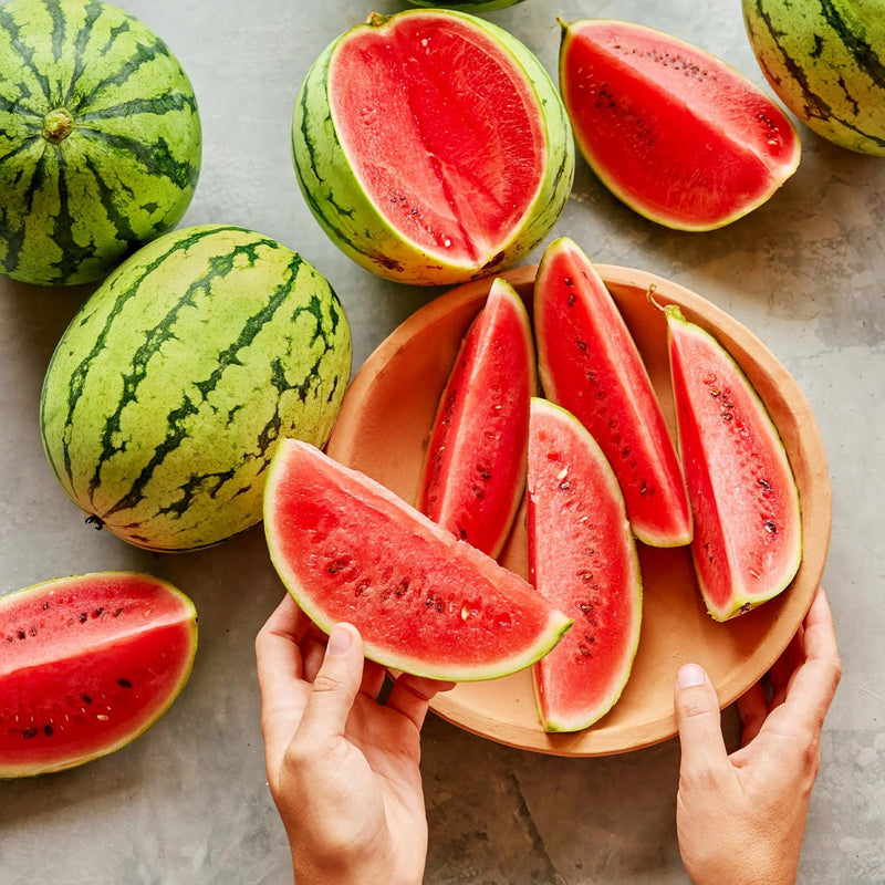 Mini Love (F1) Hybrid, Watermelon 🍉