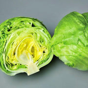 Iceberg Crisphead Lettuce - Heirloom Non GMO Seeds for Fresh Garden Crunch