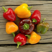 Mini Sweet Bell Peppers