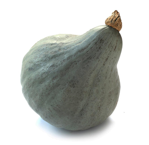 Baby Green Hubbard Winter Squash Seeds – Heirloom, Non GMO, Open Pollinated