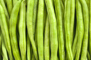 Kentucky Wonder Pole Bean - Heirloom Brown Stringless Green Beans, High Yield