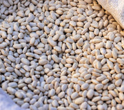 Great Northern Beans - Dry Bush Beans | Heirloom Open Pollinated Seeds