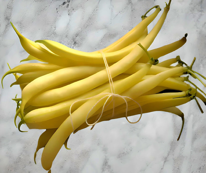 Gold Rush Wax Beans - Stringless Bush Wax Bean Seeds for Canning & Freezing