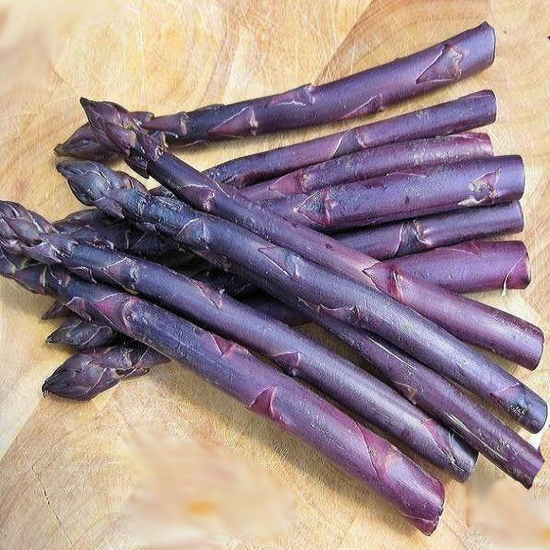 Purple Passion Asparagus