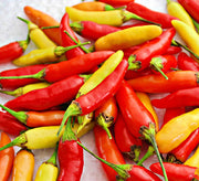Tabasco Hot Pepper Seeds – Heirloom Capsicum Annuum Variety | Box Garden