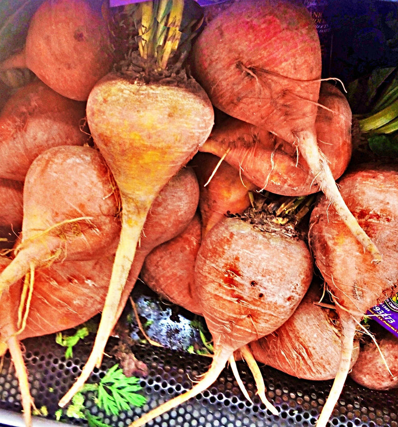 Golden Detroit Beets - Heirloom Sweet Golden Beets | Non GMO Seeds, USA Grown