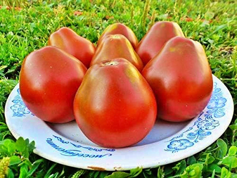 Red Truffle Tomato