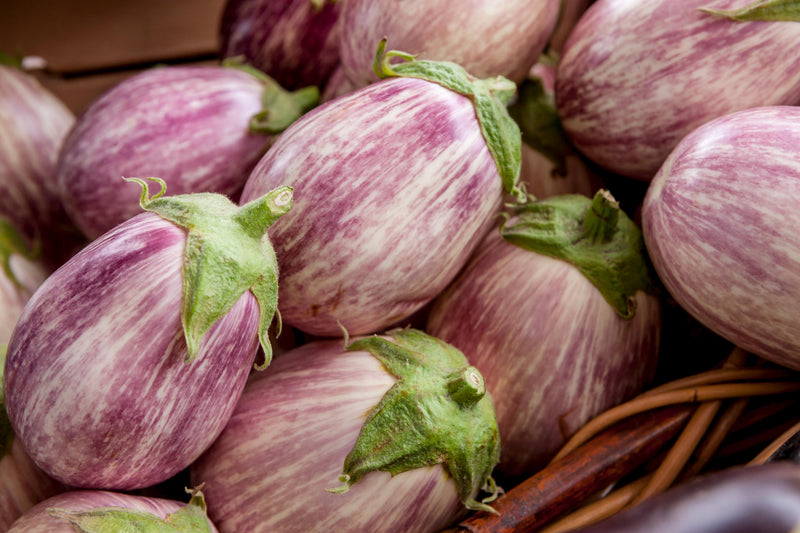 Italian Rosa Blanca, Eggplant Seeds: Heirloom, pink-and-white Italian variety (Non-GMO, Open Pollinated)