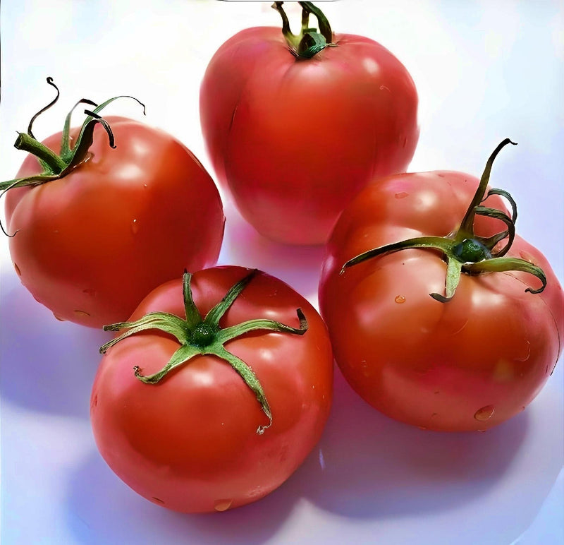 Gill's All Purpose Tomato
