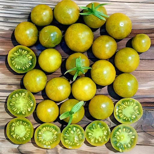 Pocket Star Cherry Tomato