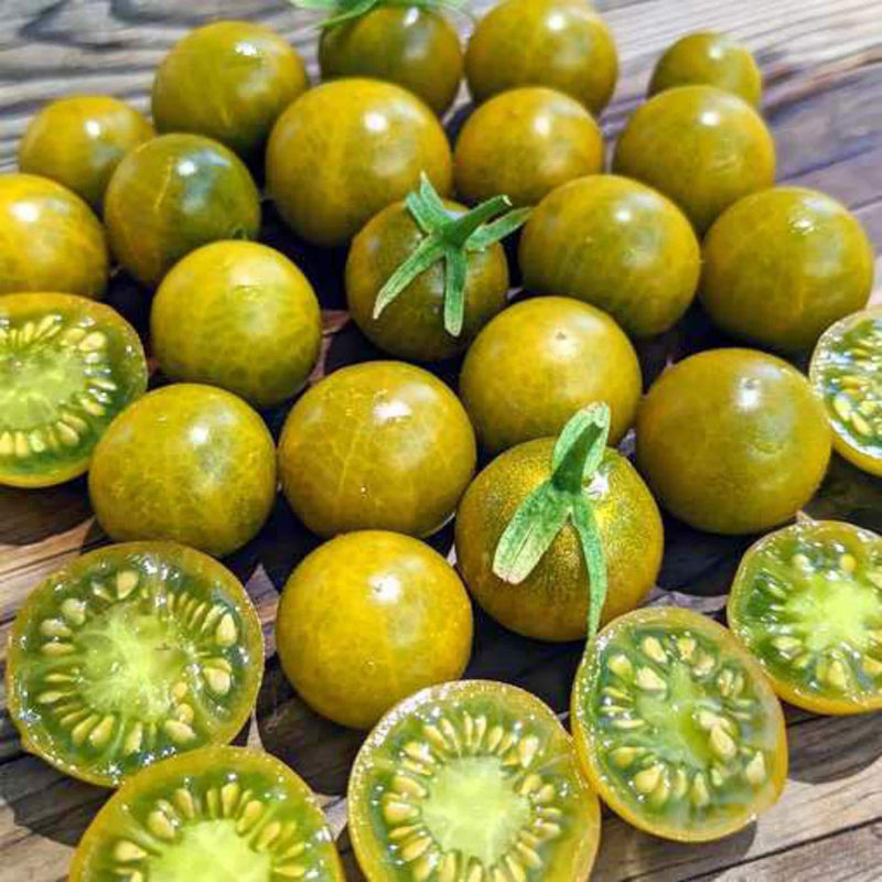 Pocket Star Cherry Tomato