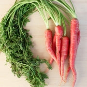 Kyoto Red, Heirloom Carrot Seeds