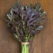 Ruby Streaks, Mustard Seeds: Spicy Salad Greens (Heirloom, Non-GMO)