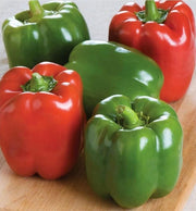 Keystone Resistant Giant, Sweet Pepper Seeds: Heirloom, (Non-GMO, Open Pollinated)