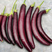 Long Purple, Eggplant, - BoxGardenSeedsLLC -Peppers,Eggplants - Seeds