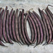 Royal Burgundy, Bush Beans, - BoxGardenSeedsLLC -Abundant Stock SALE - Seeds