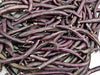 Royal Burgundy, Bush Beans - BoxGardenSeedsLLC - ABS - Seeds