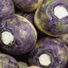 American Purple Top, Rutabaga, - BoxGardenSeedsLLC -Beet,Turnips,Parsnips - Seeds