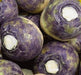 - BoxGardenSeedsLLC - American Purple Top, Rutabaga, - Beets,Turnips,Parsnips - Seeds
