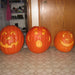 Big Max, Pumpkin, - BoxGardenSeedsLLC -Squash,Pumpkins - Seeds