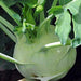 Superschmelz, Kohlrabi, - BoxGardenSeedsLLC -Chard, Kohlrabi - Seeds