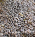 Mammoth Grey Stripe, Sunflower - BoxGardenSeedsLLC - Culinary/Medicinal Herbs - Seeds - USA Seller, Thank you for shopping here today, Naturally Grown GMO Free Seeds, Heirloom Open Pollinated Seeds, Fresh Top Quality Premium Seeds