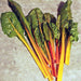 Fantasia Orange, Swiss Chard, - BoxGardenSeedsLLC -Chard, Kohlrabi - Seeds