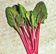 Rhubarb, Swiss Chard - BoxGardenSeedsLLC - Chard, Kohlrabi - Seeds - USA Seller, Thank you for shopping here today, Naturally Grown GMO Free Seeds, Heirloom Open Pollinated Seeds, Fresh Top Quality Premium Seeds