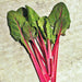 Rhubarb, Swiss Chard, - BoxGardenSeedsLLC -Chard, Kohlrabi - Seeds