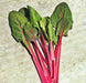 Rhubarb Swiss Chard -- BoxGardenSeedsLLC -Chard, Kohlrabi - Seeds