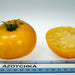 Azoychka, Tomato, - BoxGardenSeedsLLC -Tomatoes,Tomatillos - Seeds