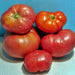 Brandywine Seed Kit, Tomato, - BoxGardenSeedsLLC -Tomatoes,Tomatillos - Seeds