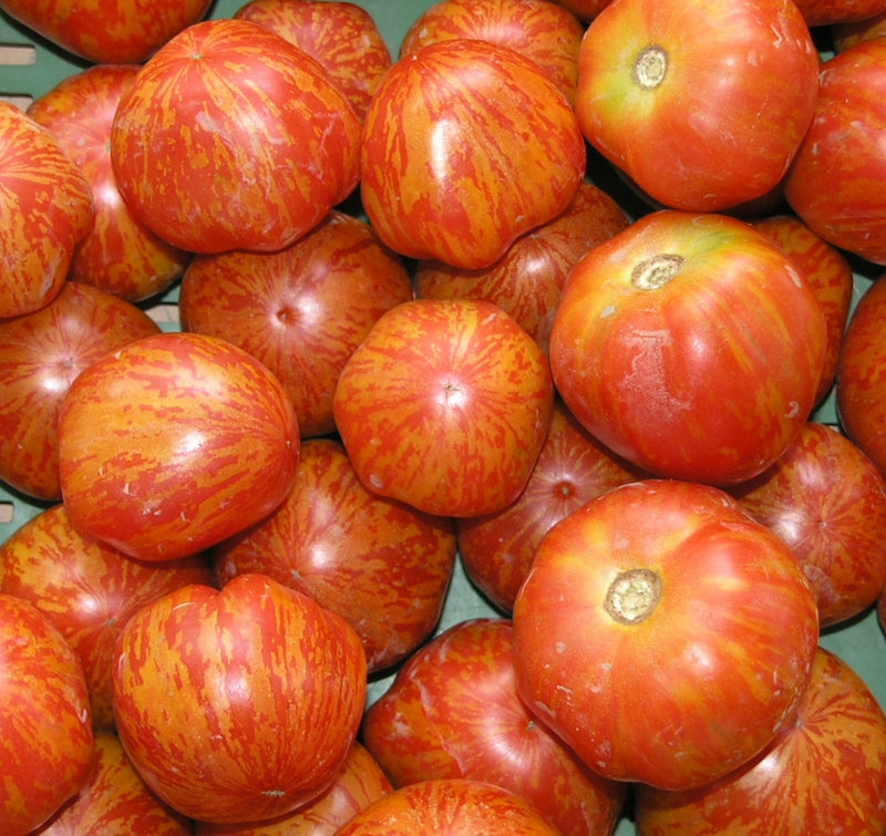 Red Zebra, Tomato - BoxGardenSeedsLLC - Tomatoes,Tomatillos - Seeds - USA Seller, Thank you for shopping here today, Naturally Grown GMO Free Seeds, Heirloom Open Pollinated Seeds, Fresh Top Quality Premium Seeds