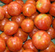 Red Zebra, Tomato, -- BoxGardenSeedsLLC -Tomatoes,Tomatillos - Seeds