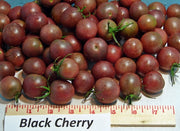 Black Cherry, Tomato - BoxGardenSeedsLLC - Tomatoes,Tomatillos - Seeds - 