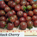 Black Cherry, Tomato, - BoxGardenSeedsLLC -Tomatoes,Tomatillos - Seeds