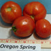 Oregon Spring, Tomato, - BoxGardenSeedsLLC -Tomatoes,Tomatillos - Seeds